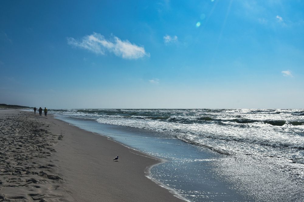 Photograph by Елена Март