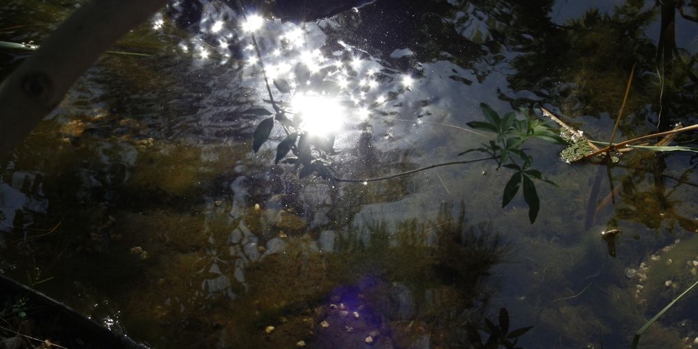 Photograph by Efi Laskari