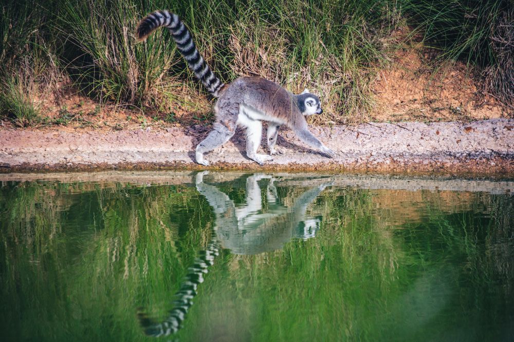 Photograph by SOUFIANE EL KADAOUI