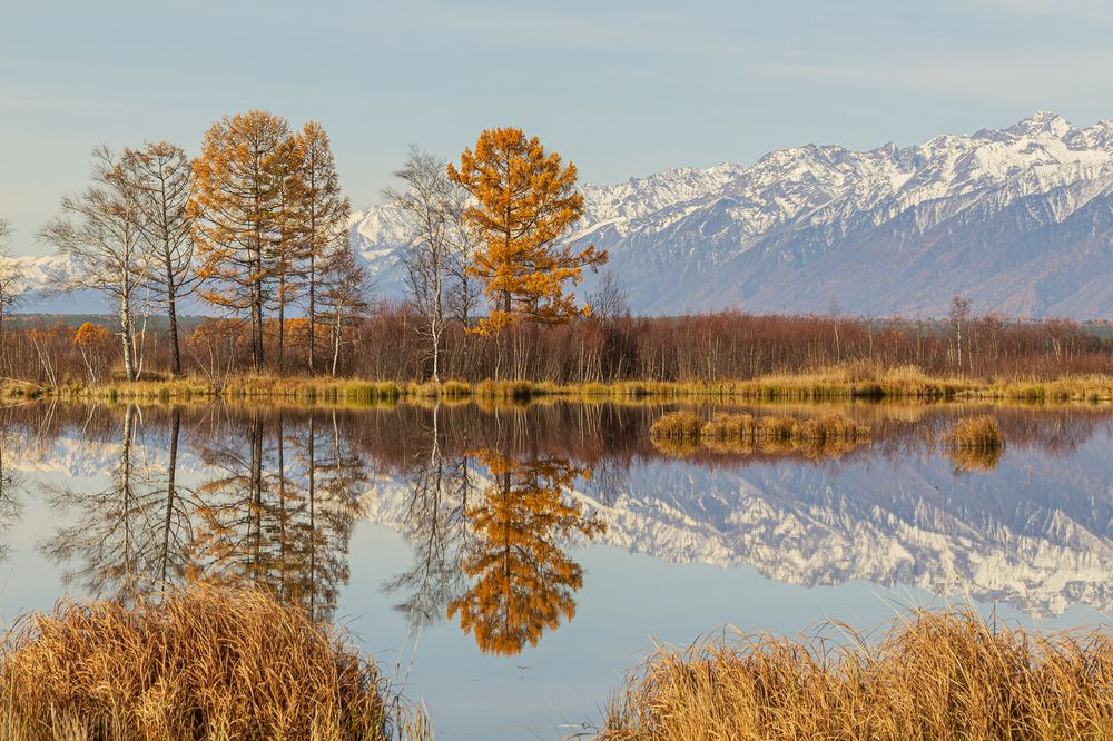 Photograph by Koledova Irina