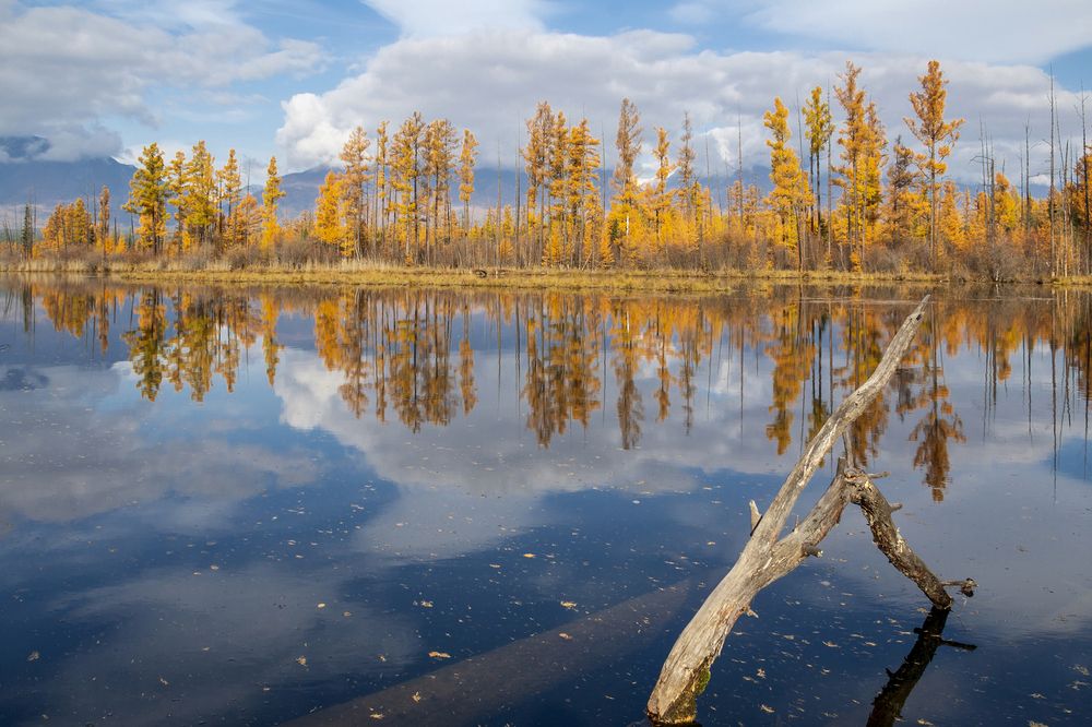 Photograph by Koledova Irina