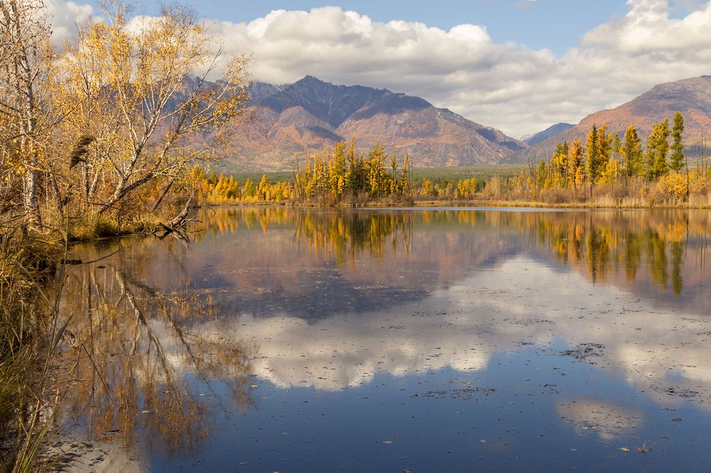 Photograph by Koledova Irina