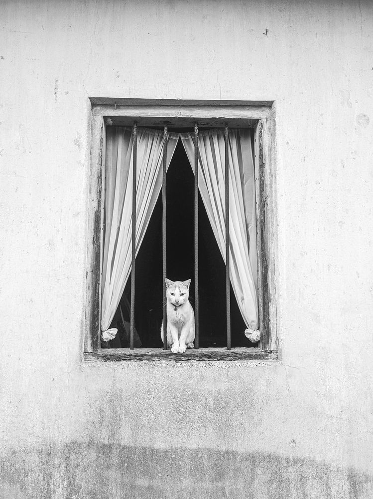 Photograph by Muhammad Fahrul