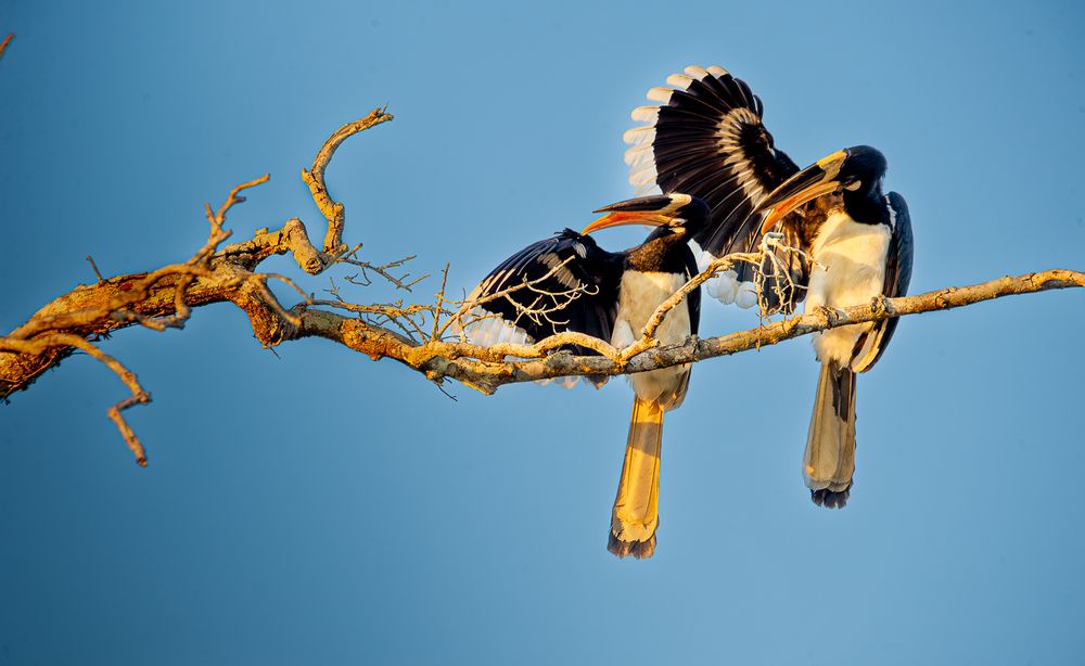 Photograph by Saliya Ambegoda