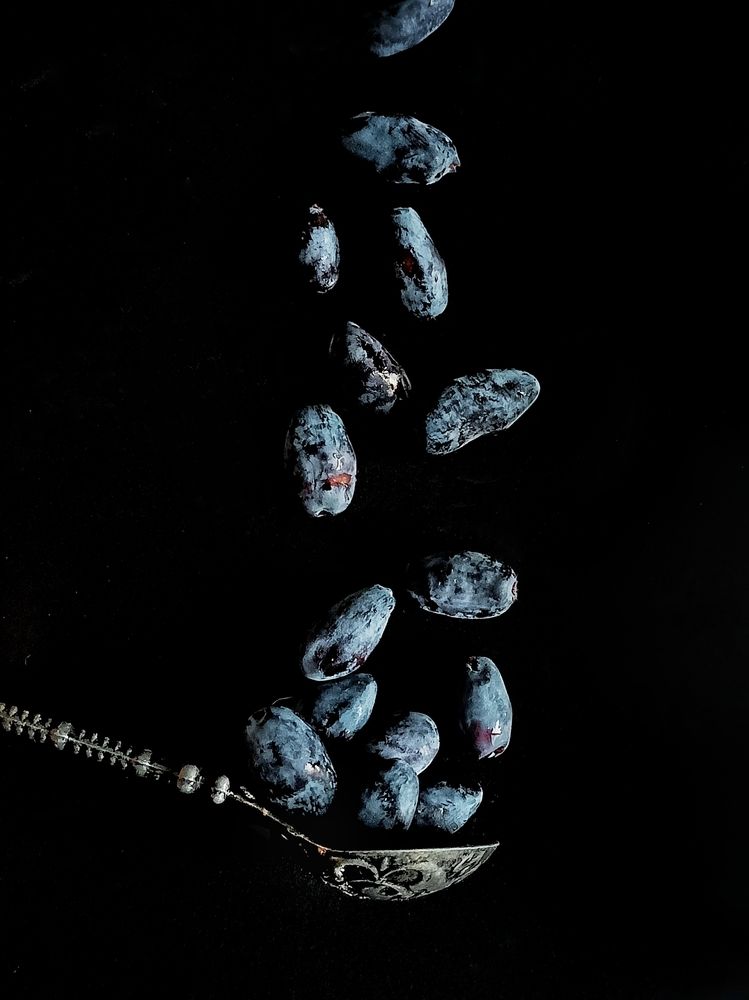 Фотография автора Татьяна Шахова