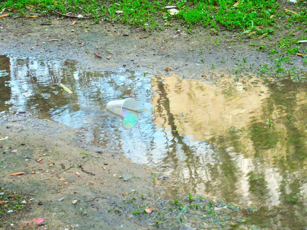 Photograph by Leonid Yarmolinsky