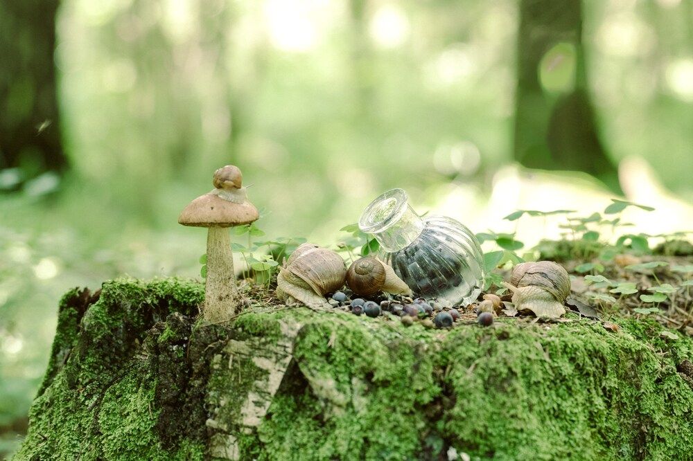 Photograph by Марина Суздаль