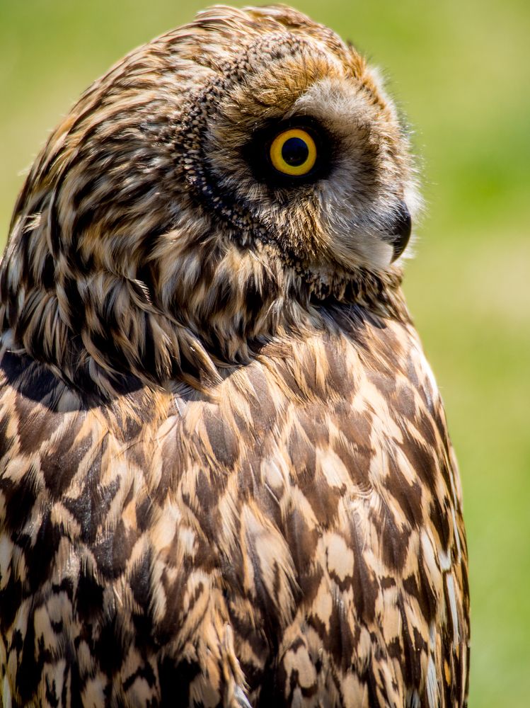 Photograph by Abdolreza Aleagha