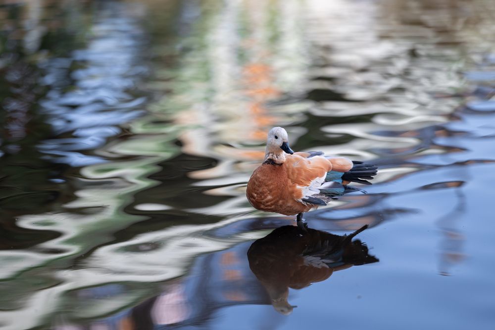 Photograph by Абдул Мигруев