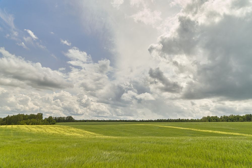 Фотография автора Александр Еремин
