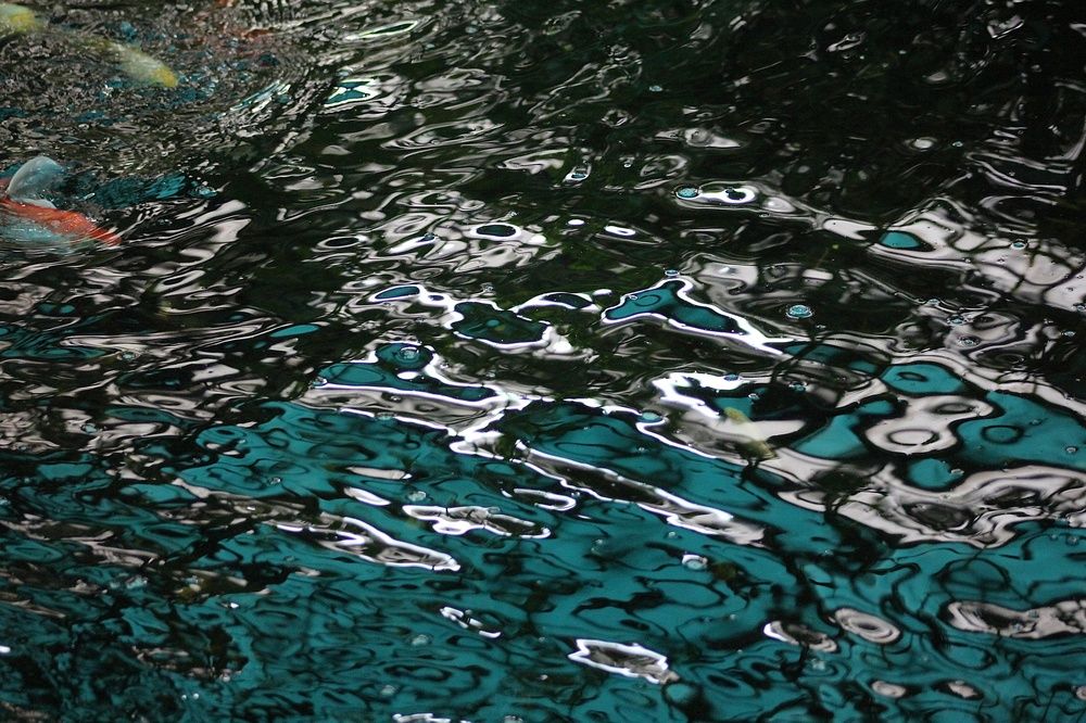 Photograph by Эльвира Лазарева