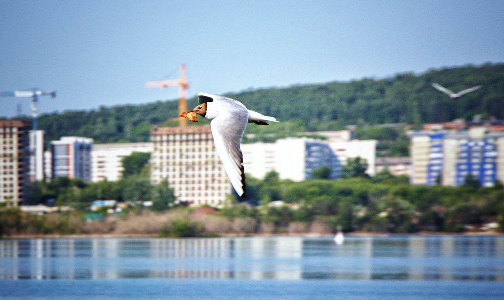 Photograph by Владимир Сушкин