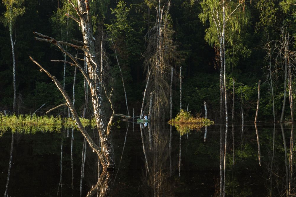 Photograph by Борис Юрьев