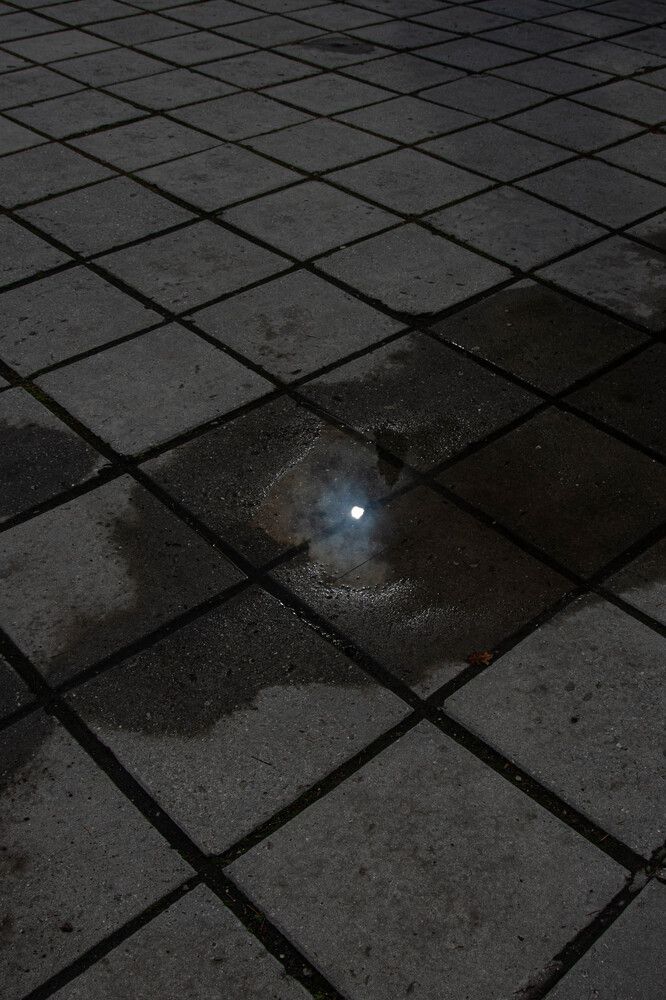 Photograph by Андрей Савёлов