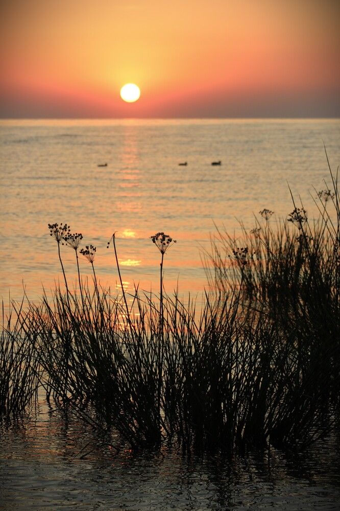 Photograph by ILONA OTRUTSKAYA