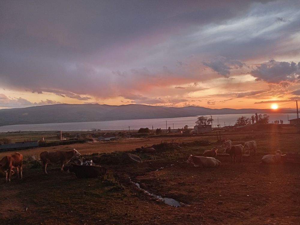 Photo #12312133