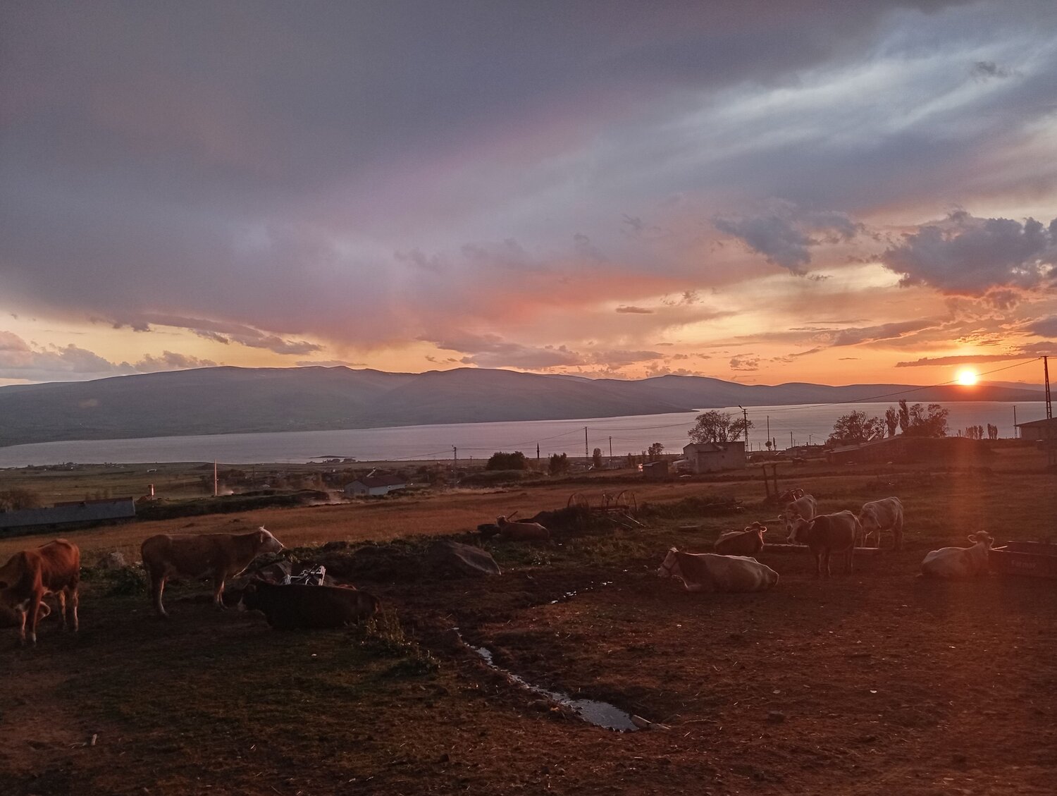 Photo #12312133