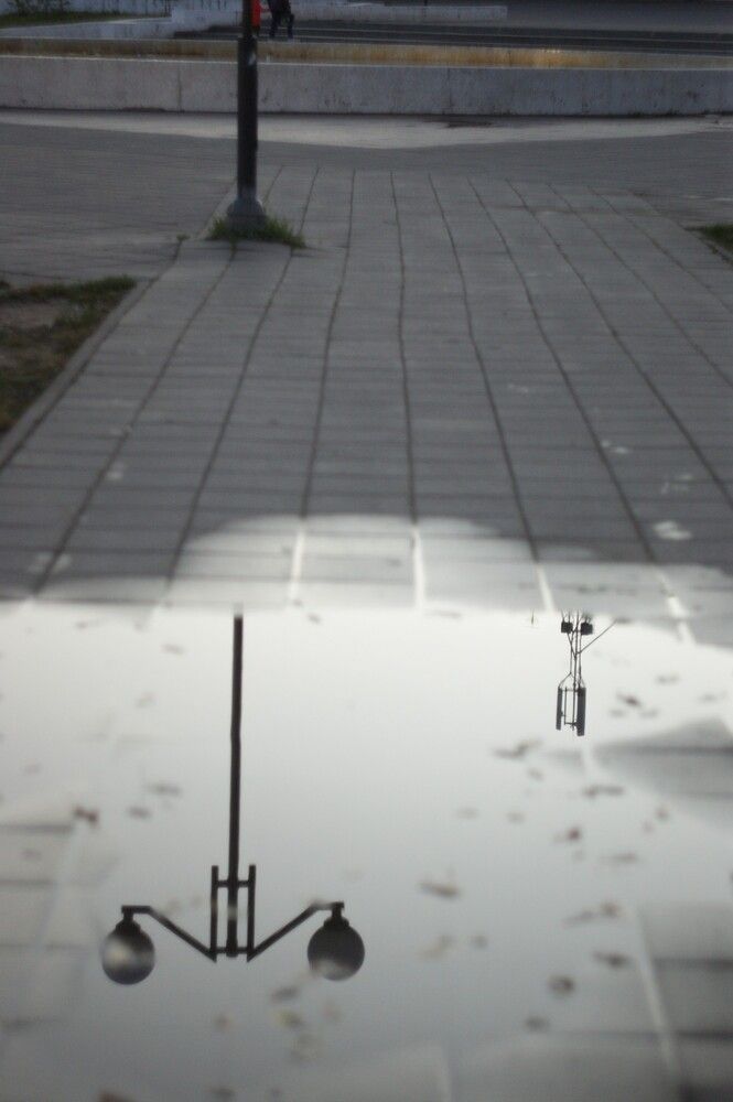 Photograph by Елена