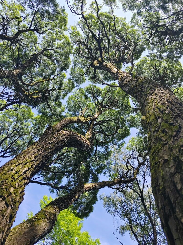 Photograph by Ольга Рыбина