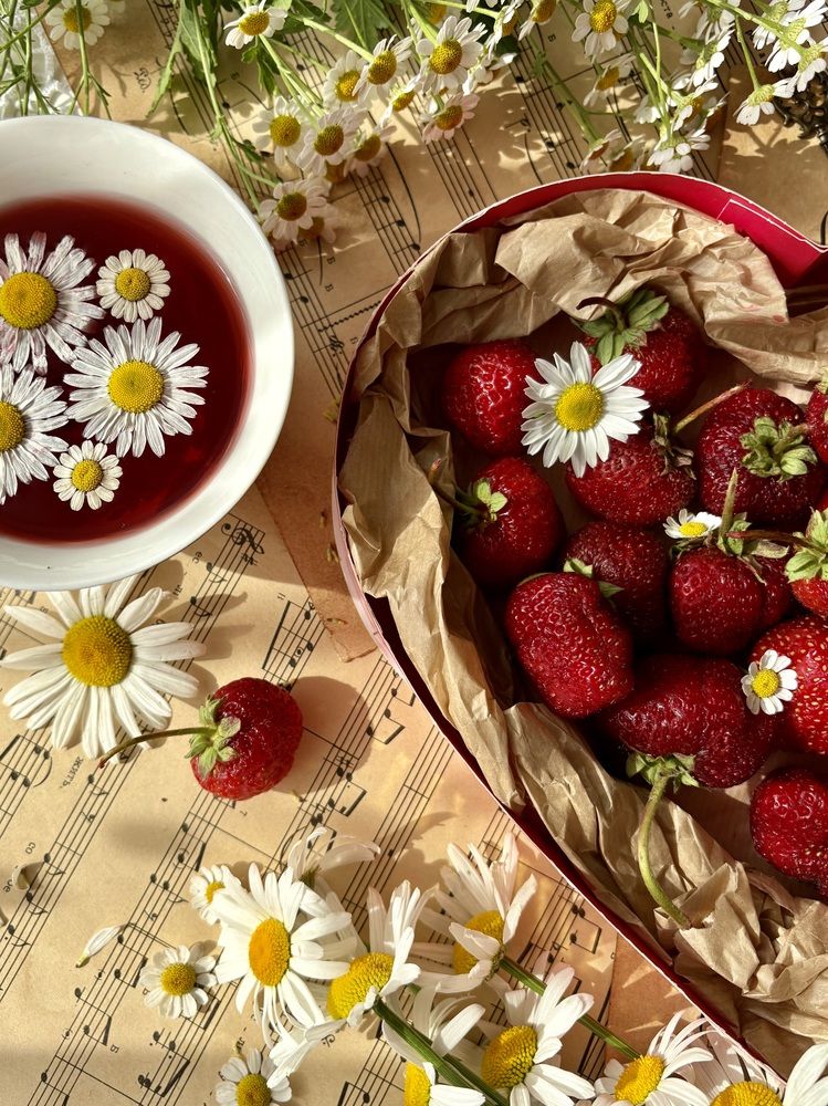 Photograph by Елена Рябова