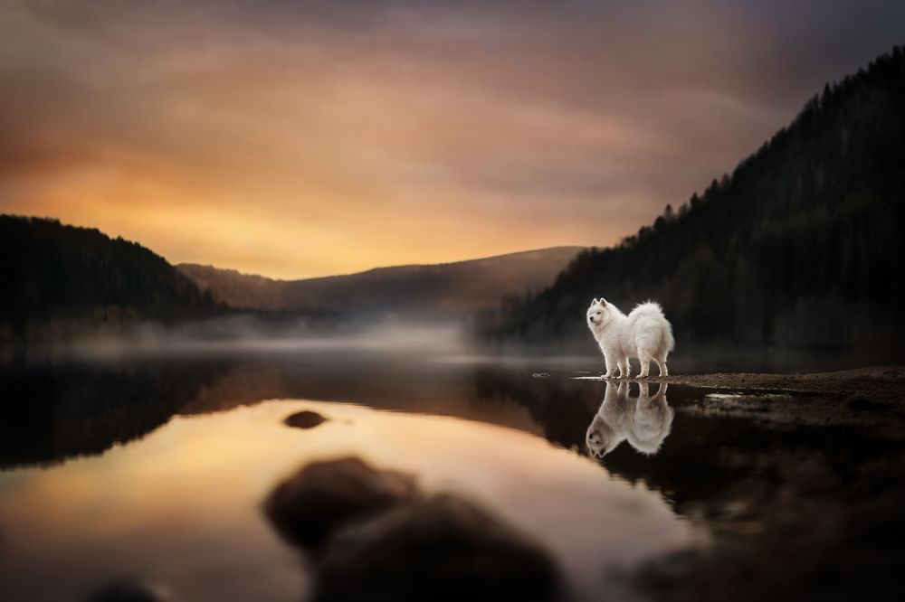 Photograph by Fleur Scholte