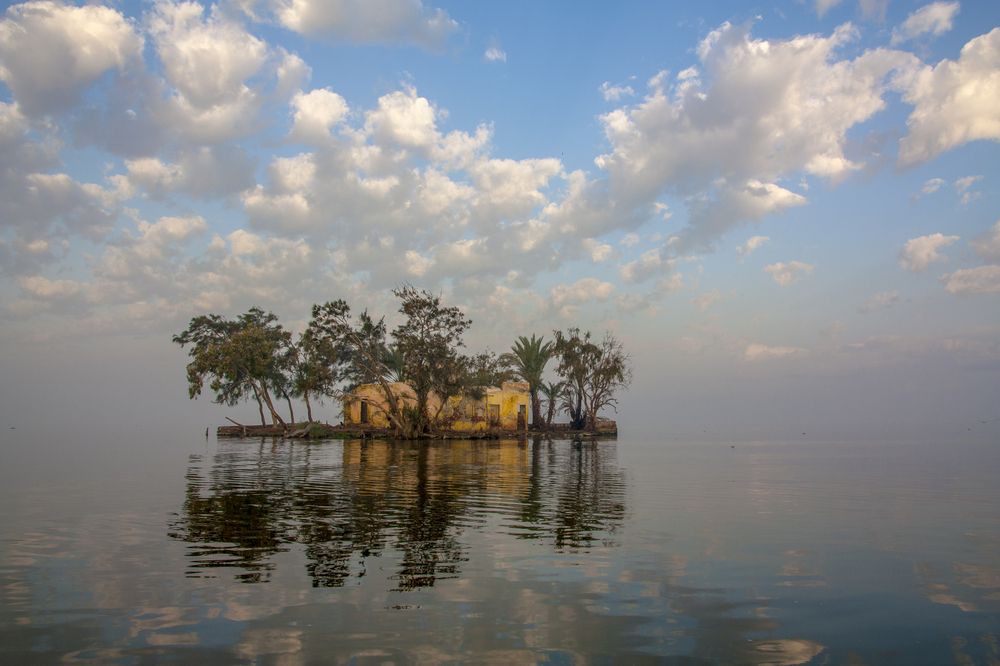 Фотография автора Rouchdy Nahed