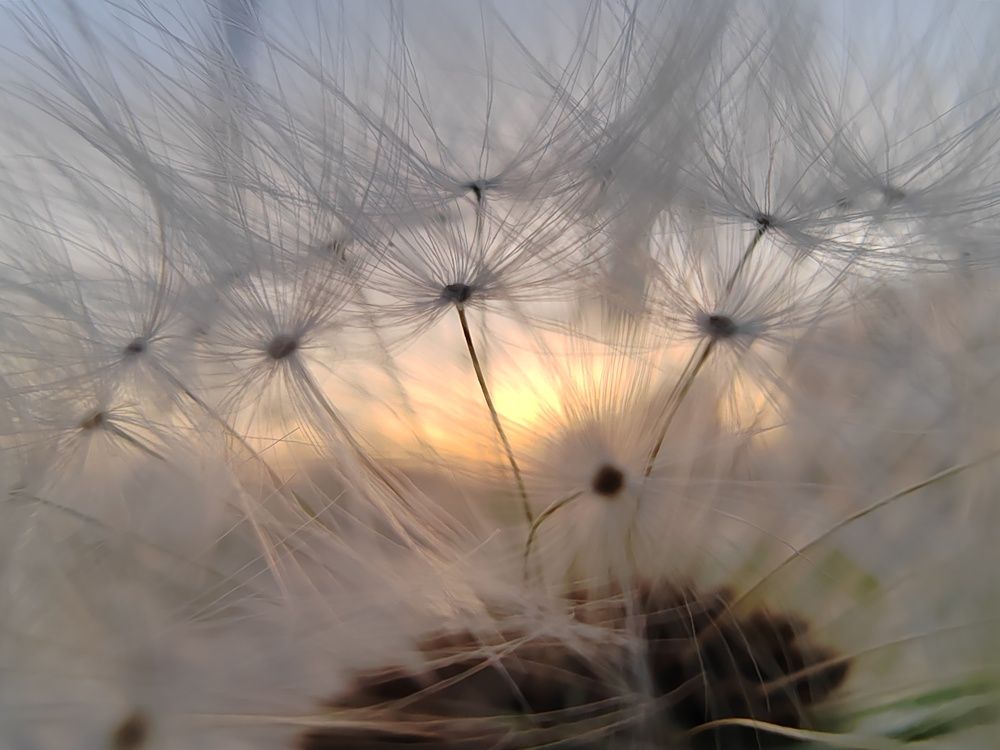 Photograph by Ольга Рыбина