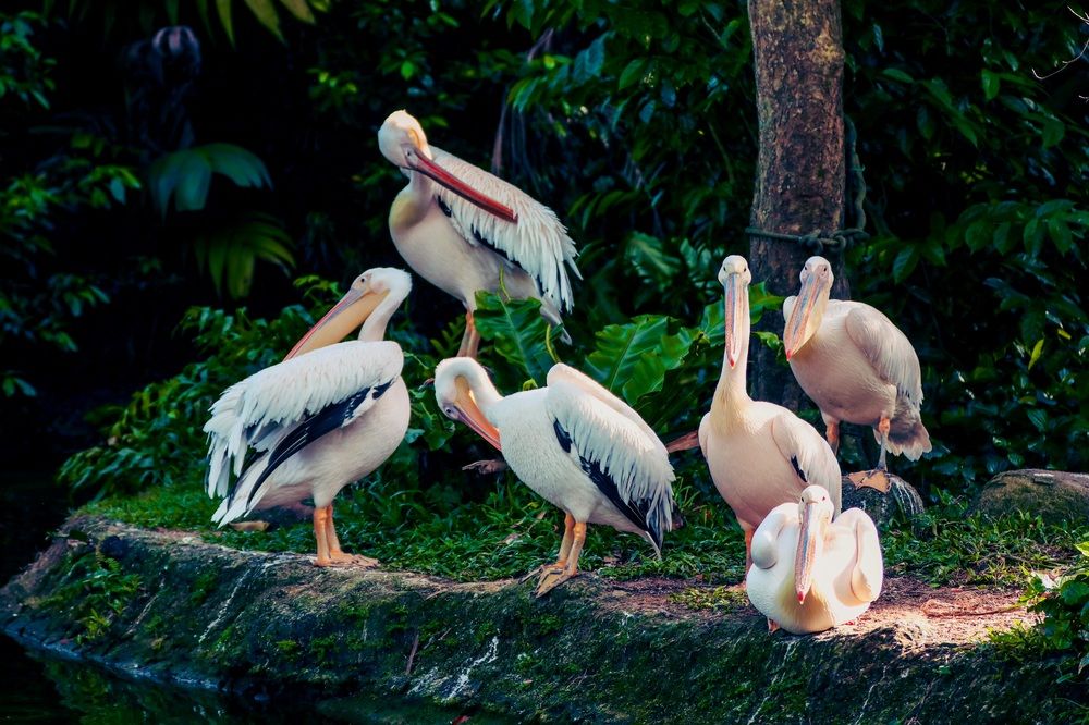Photograph by Protik Banerjee