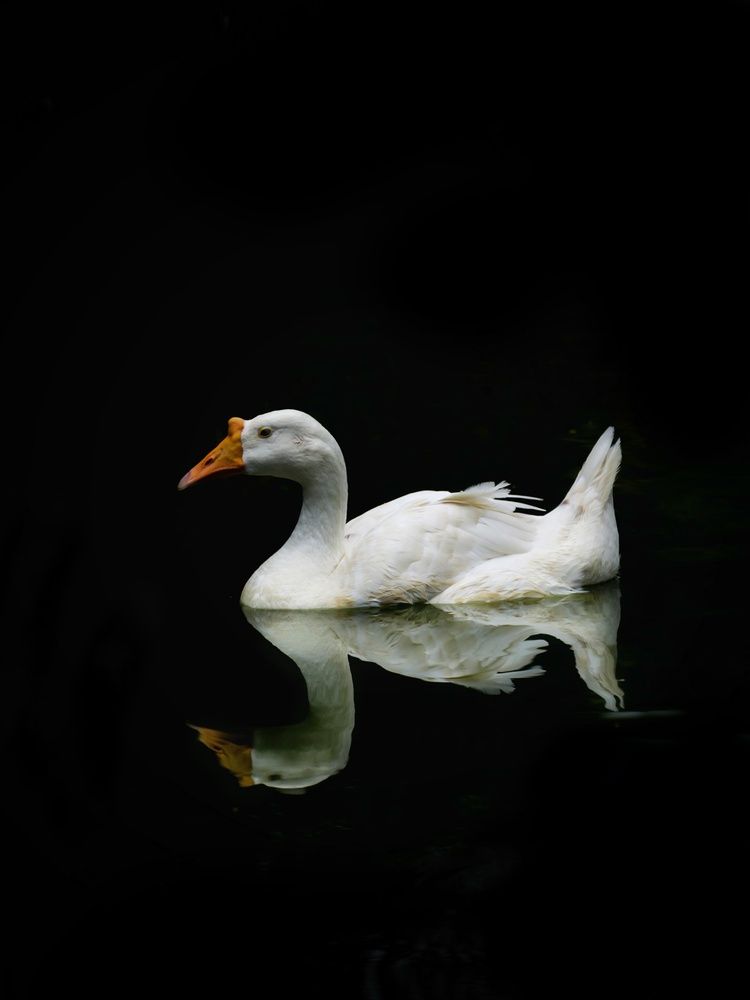 Photograph by HARSHIT MISHRA