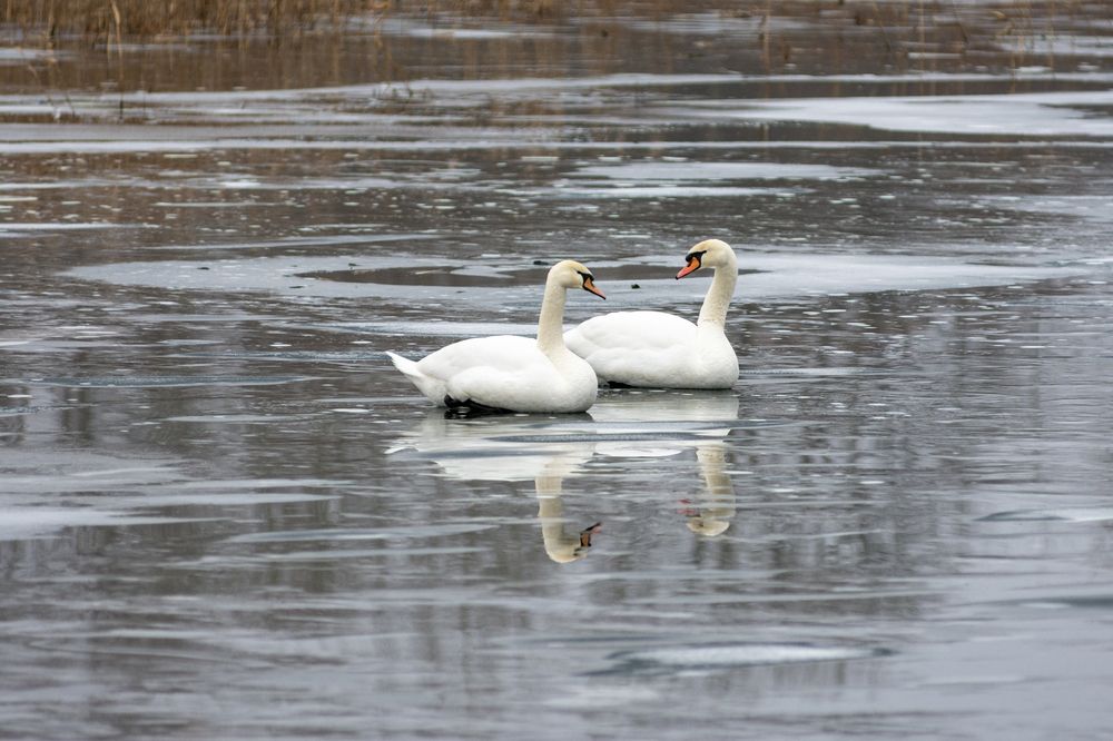 Photograph by Алексей Кузьмин