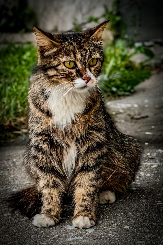 Photograph by Ekaterina Slepneva