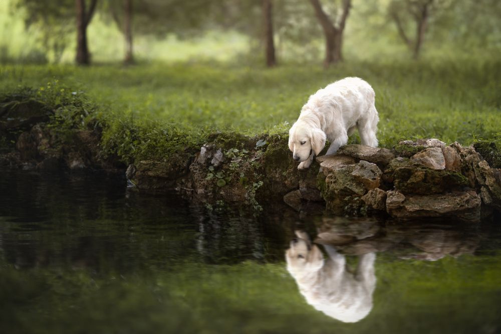 Photograph by Leticia Hernandez