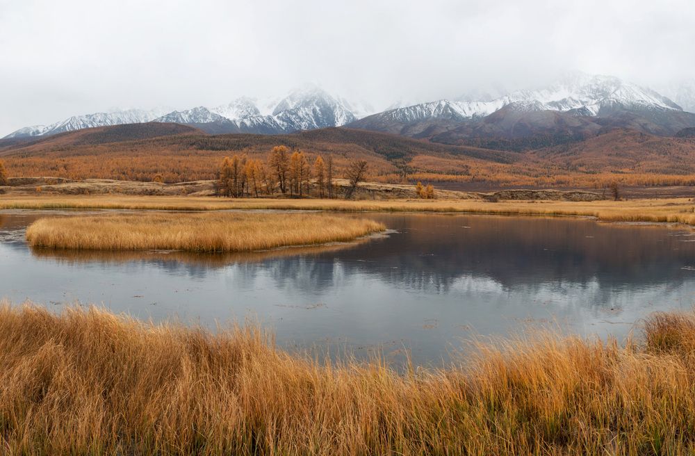 Photograph by Сергей Молоков