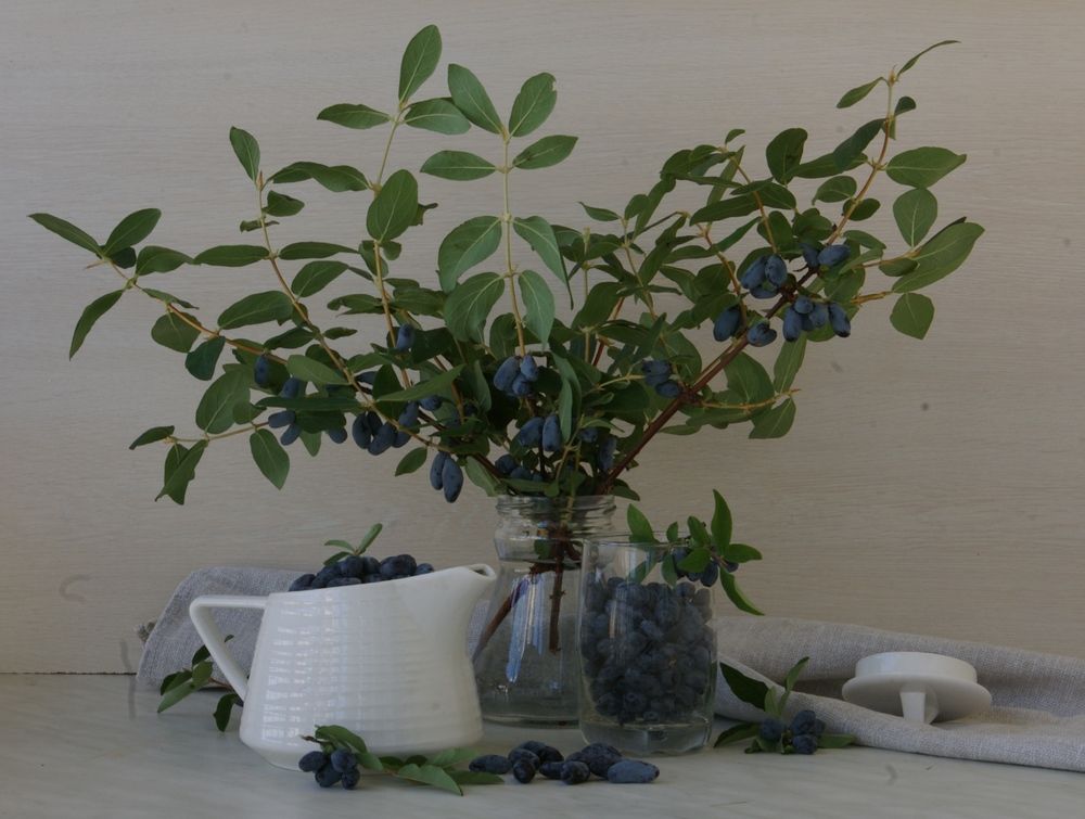 Photograph by Елена Алешкевич