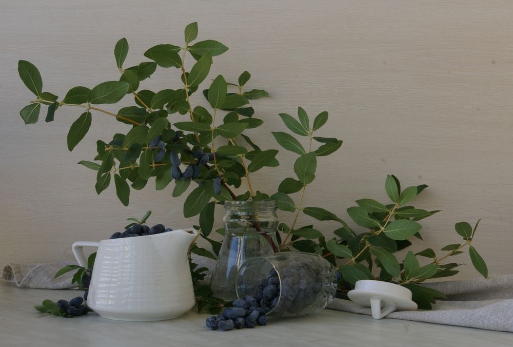 Photograph by Елена Алешкевич