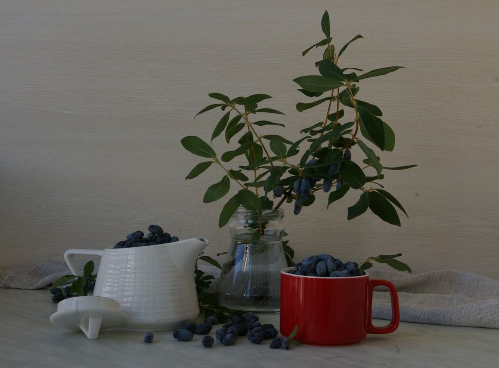 Photograph by Елена Алешкевич