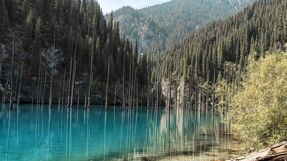 Photograph by Karpenko Denis