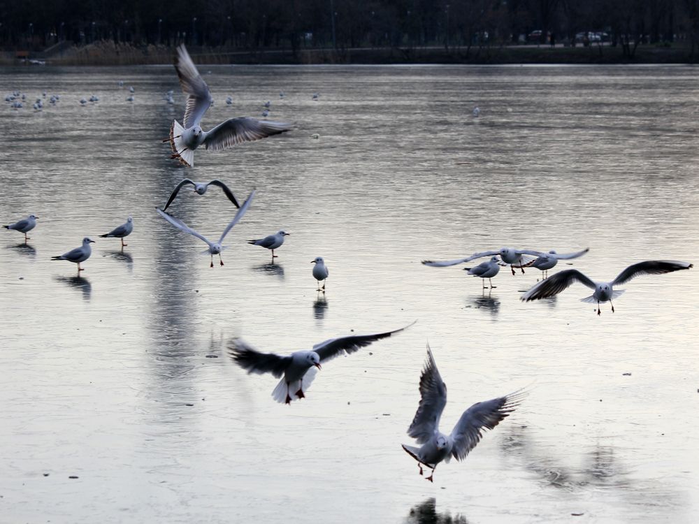 Photograph by Дмитрий Лобанов