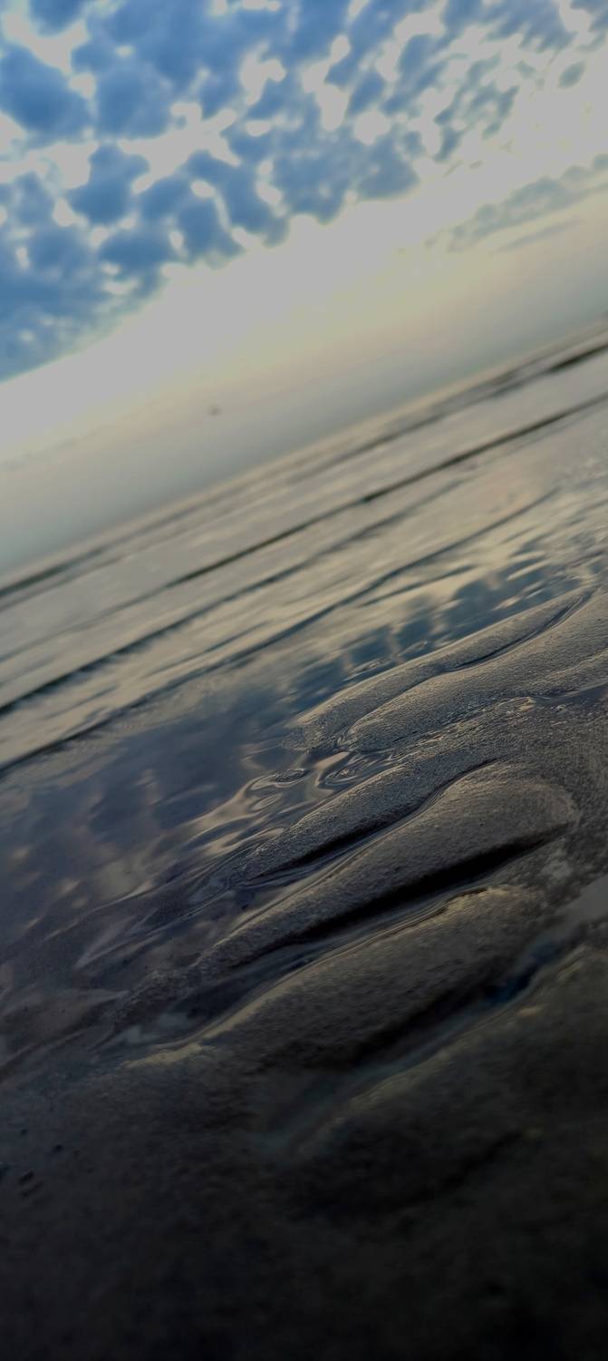 Photo #12312400
