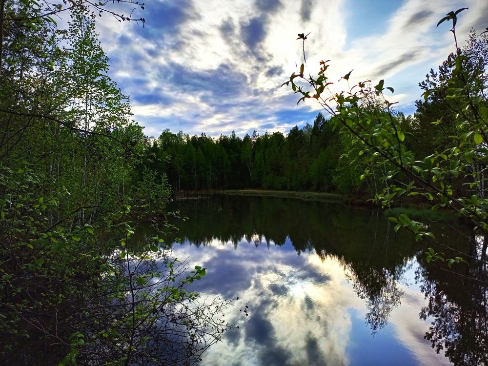 Photograph by Александра