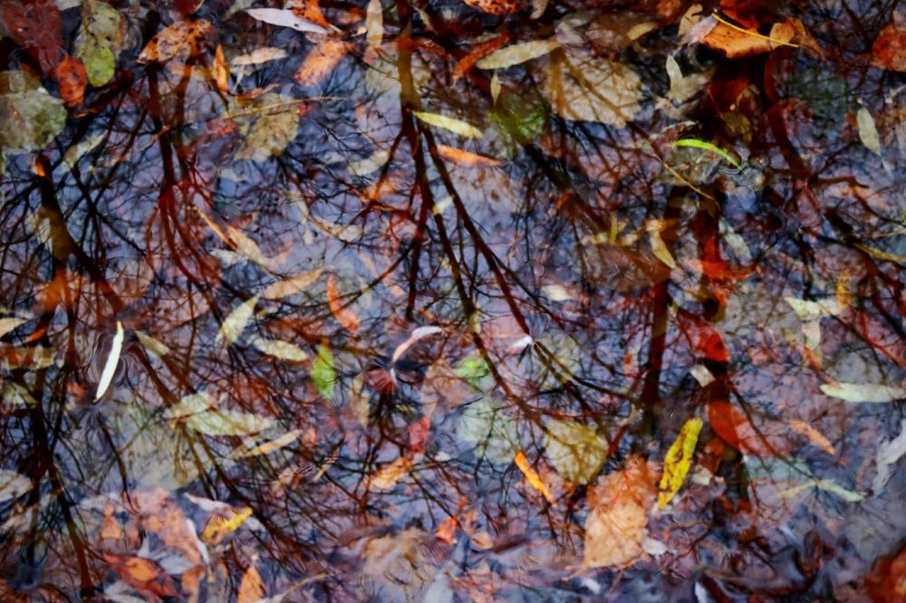 Photograph by Александра