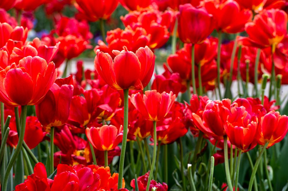 Photograph by Евгений Николаенков