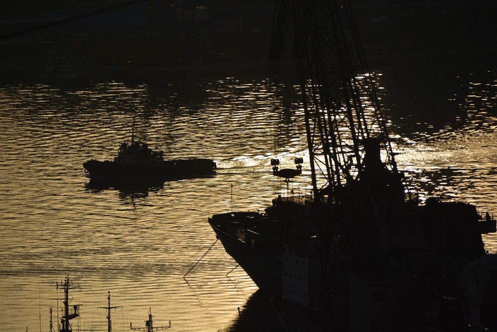 Photograph by Татьяна Безгачёва