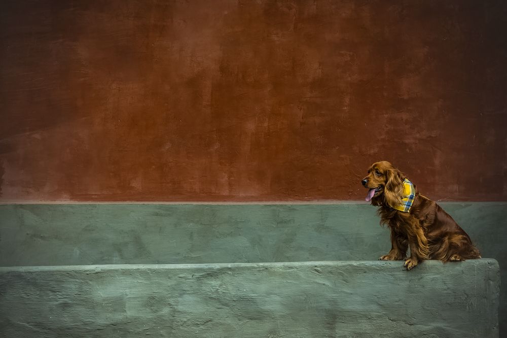 Photograph by Victoria Mogulyan