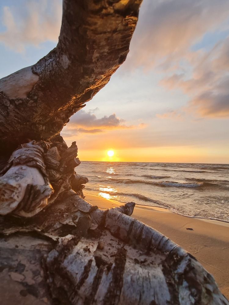 Photograph by Ирина