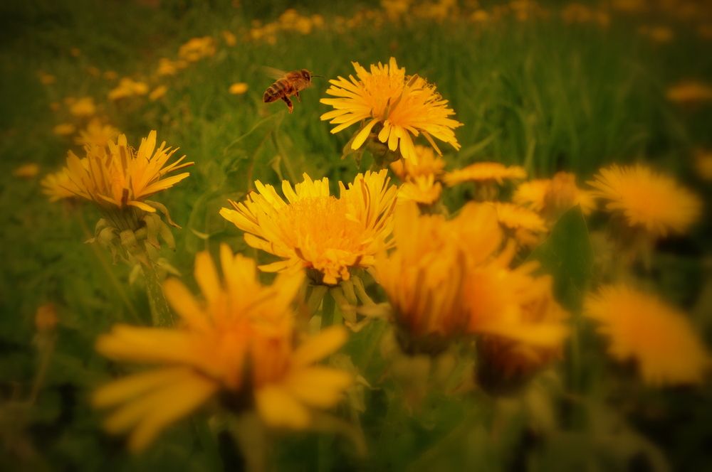 Photograph by Евгений Николаенков