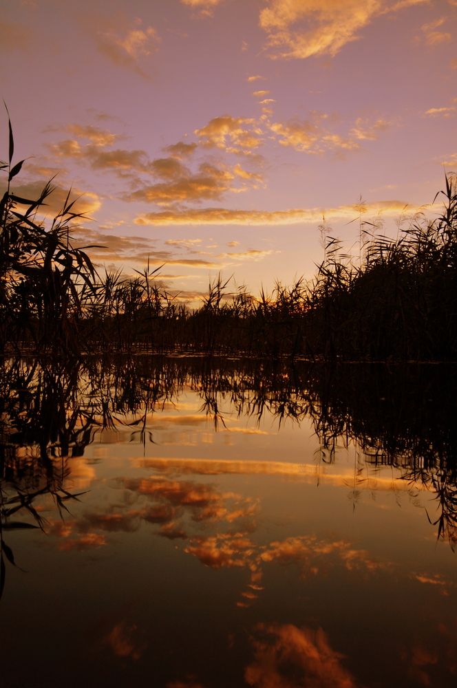 Photograph by Евгений Николаенков