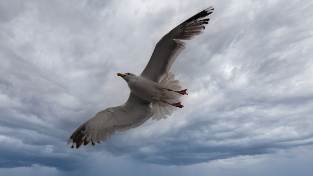 Photograph by Людмила Ваганова