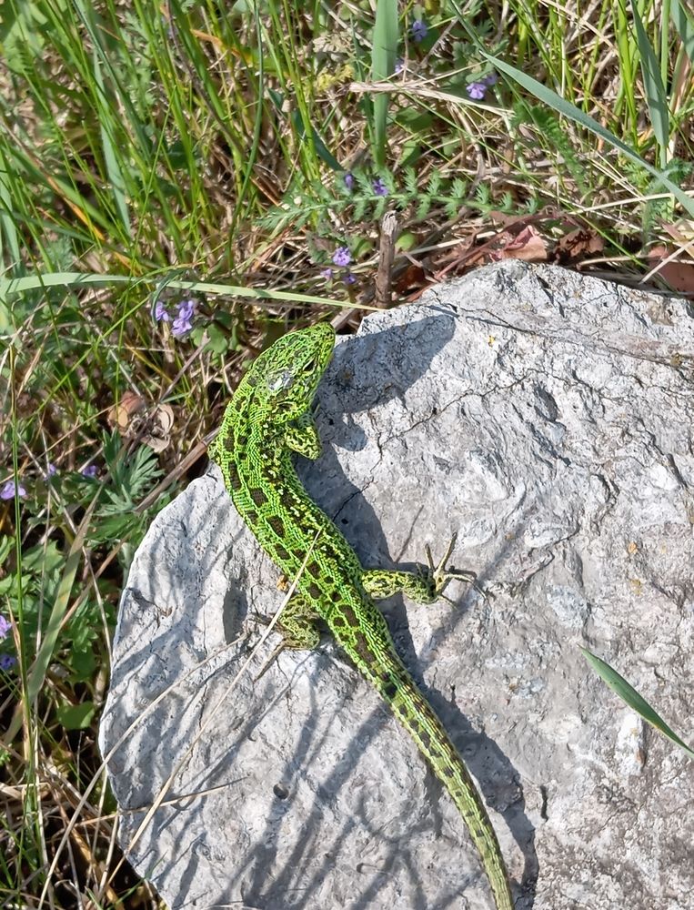 Photograph by Елена Коробченко