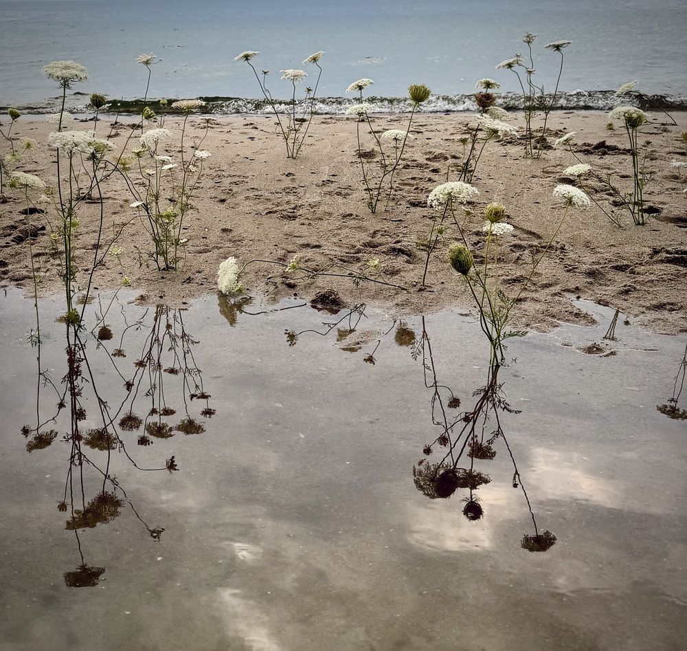 Photograph by Юлия Чернышёва